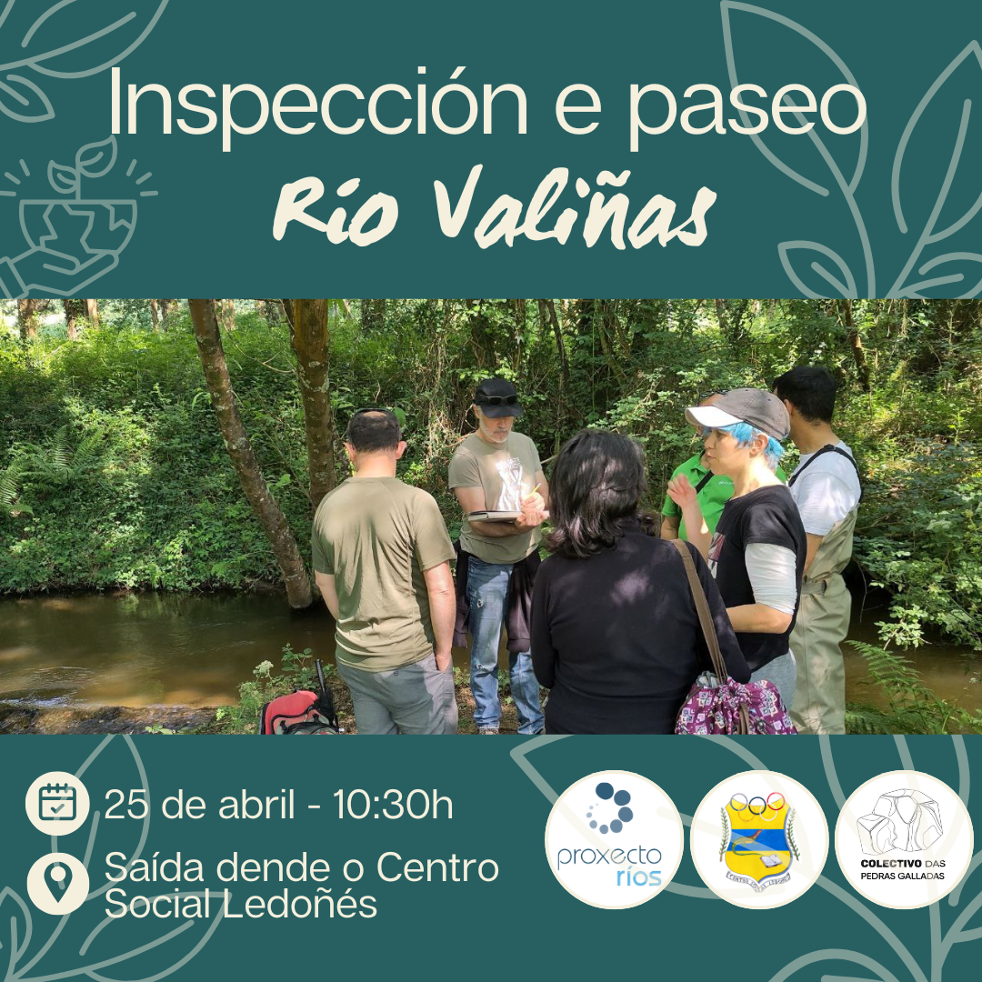 Cartaz oficial Inspección río Valiñas