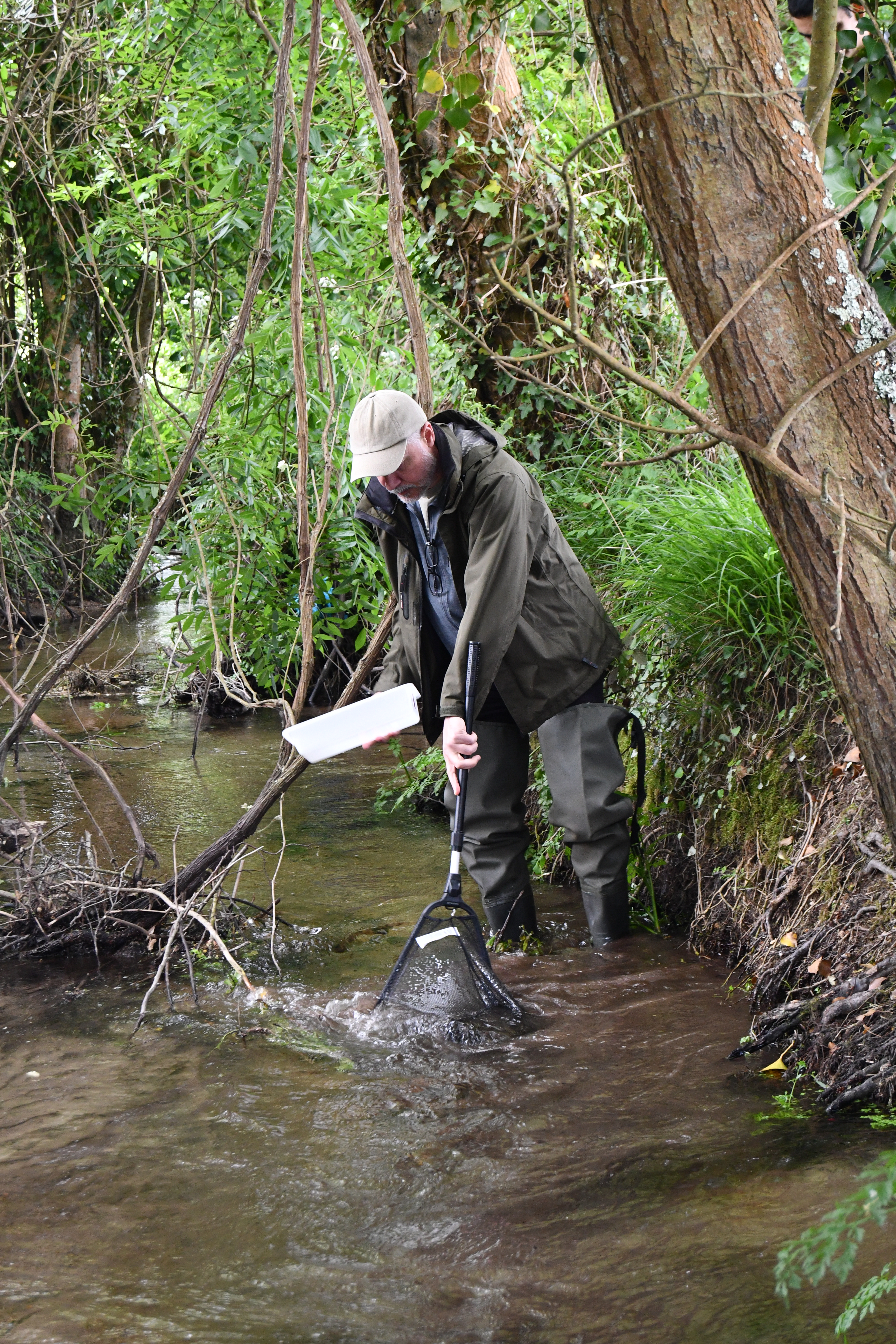 Voluntarios traballando no río